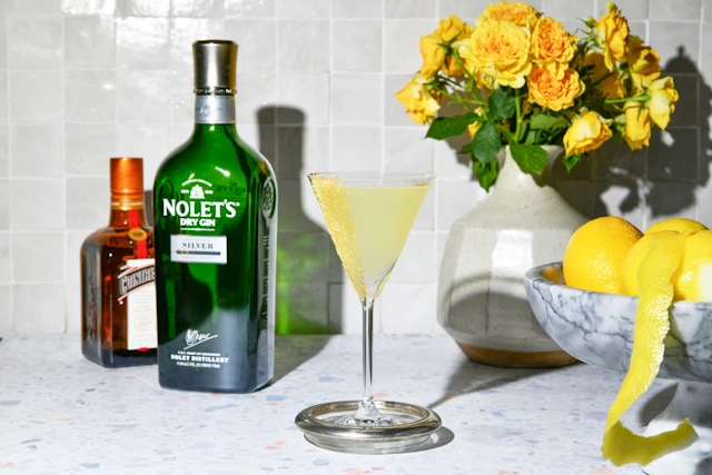Nolet's Gin Cocktail