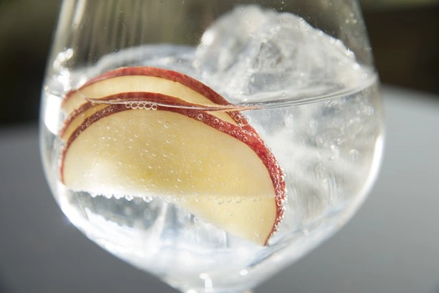 Caorunn Gin and Tonic with a Slice of Apple