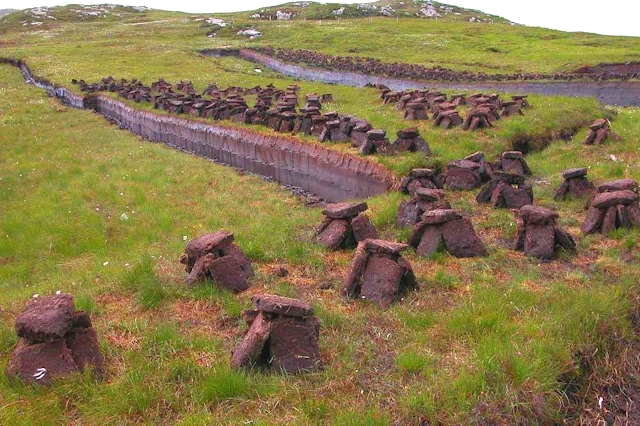 Drying Peat at the Ben Nevis Distillery