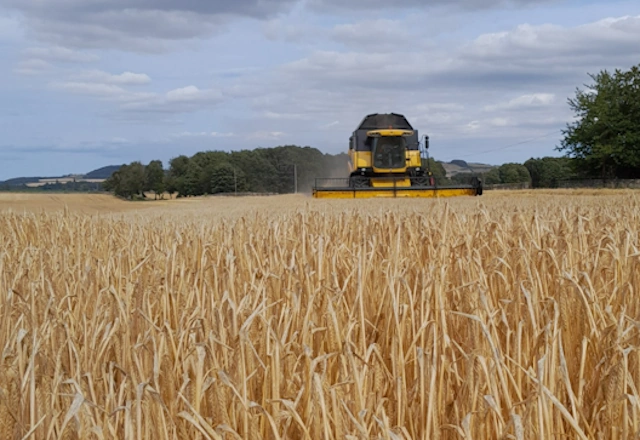 Daftmill Whisky Barley Harvest