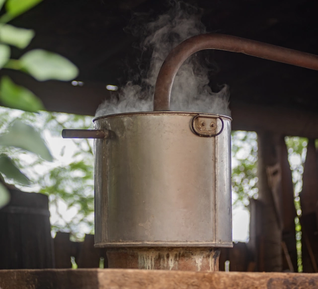 Making Pelo del Perro Mezcal