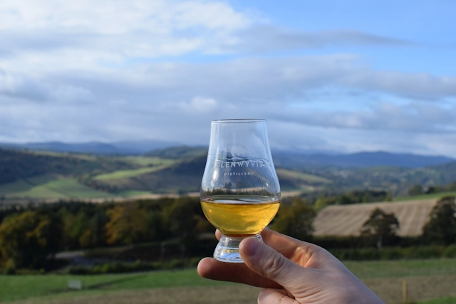 GlenWyvis Whisky Glass