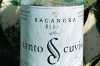 Santo Cuviso Bacanora Bottle