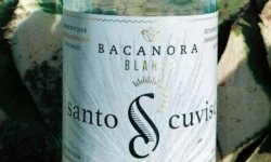 Santo Cuviso Bacanora Bottle