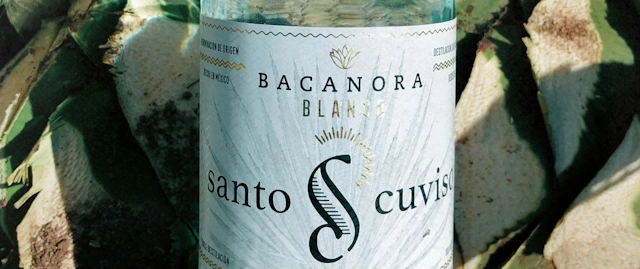 Santo Cuviso Bacanora Bottle