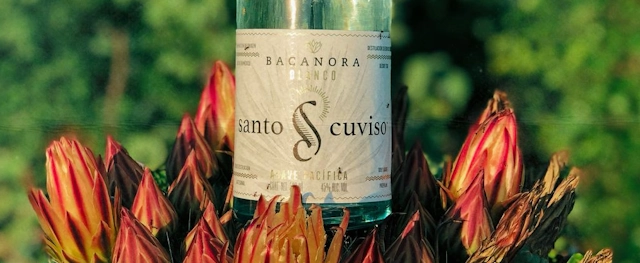 Santo Cuviso Bacanora Bottle