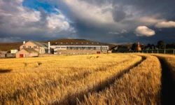 Glenfarclas Distillery